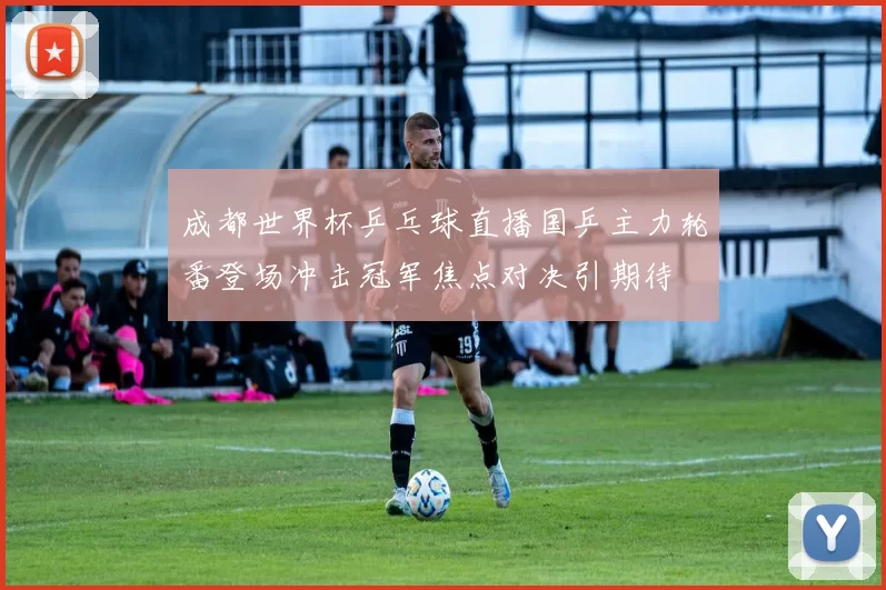 成都世界杯乒乓球直播国乒主力轮番登场冲击冠军焦点对决引期待