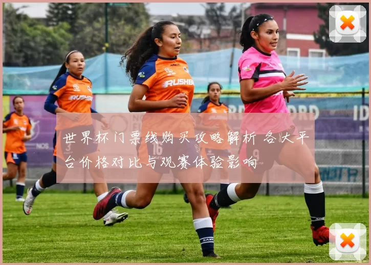 世界杯门票线购买攻略解析 各大平台价格对比与观赛体验影响