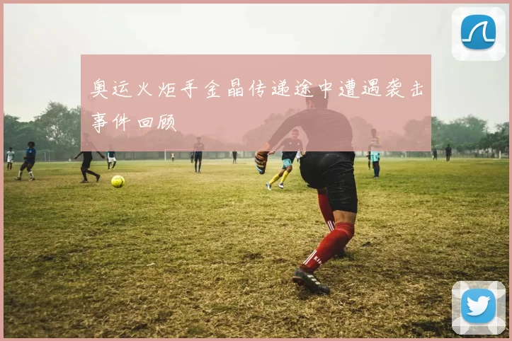 奥运火炬手金晶传递途中遭遇袭击事件回顾