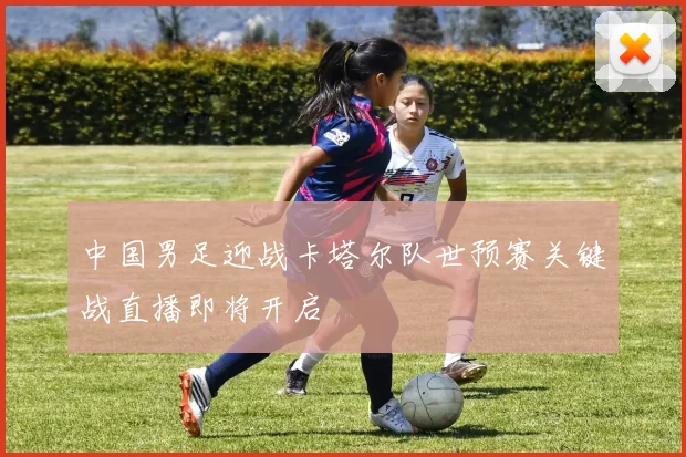 中国男足迎战卡塔尔队世预赛关键战直播即将开启