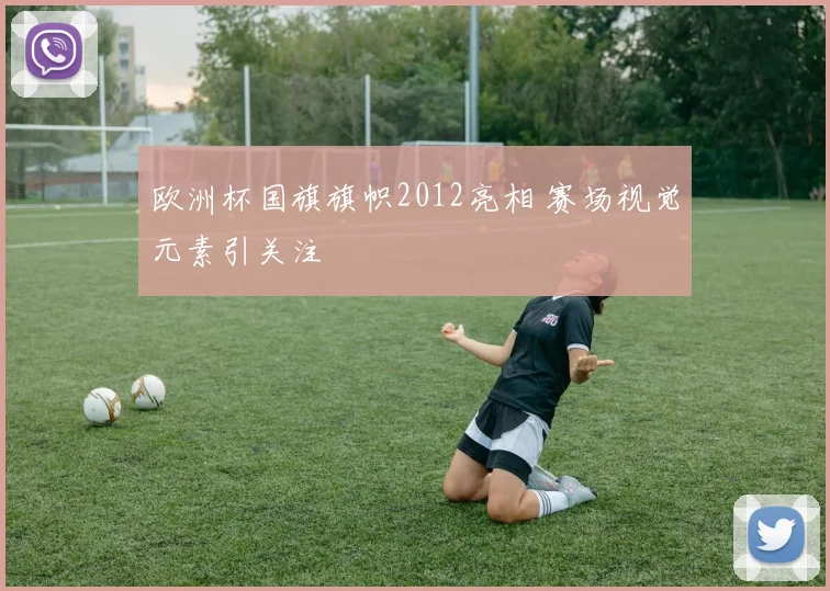 欧洲杯国旗旗帜2012亮相 赛场视觉元素引关注