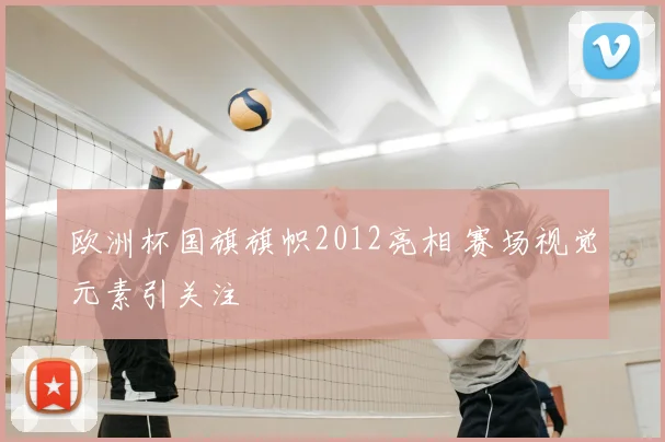 欧洲杯国旗旗帜2012亮相 赛场视觉元素引关注